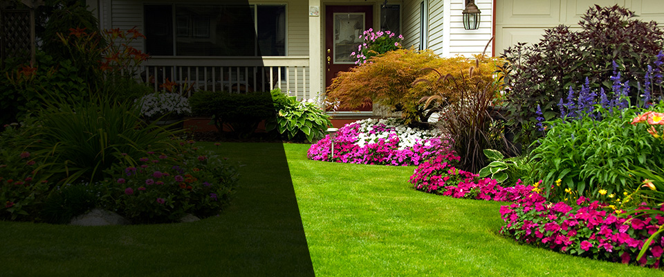 Brazil Landscapers