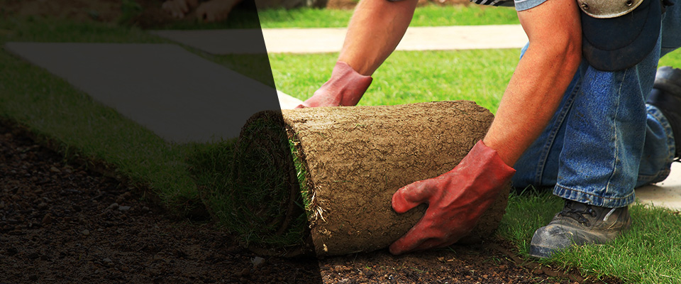 Brazil Landscapers